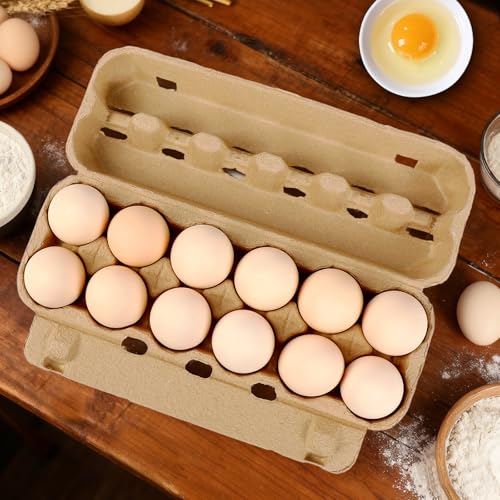 25 Pack Empty Egg Cartons 12 Count (2x6 Style - 25Pack)