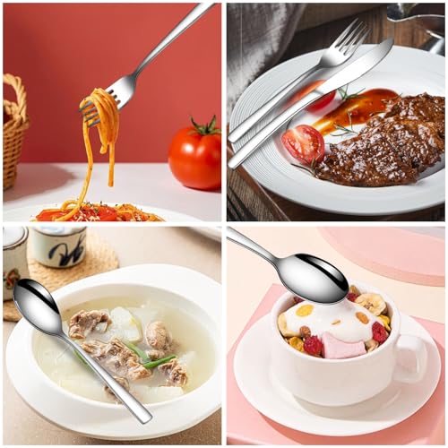 20 Piece Silverware Set for 4 with Steak Knives