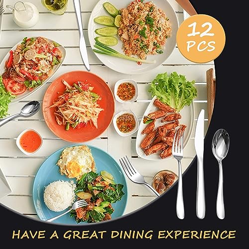 Stainless Steel 12PCS Dinner Set combo with 4 Dinner Knives (7.3''-9.1''Silverware set for 4)