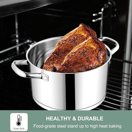 Stainless Steel Stock Pot