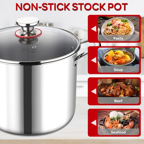 12 QT Stock Pot with Lid (12 Quarts)