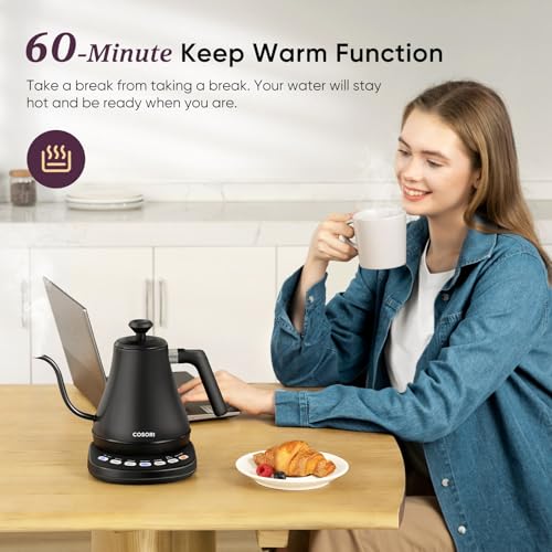 Gooseneck Electric Kettle with Temperature Control (Black / 0.8 Quarts)