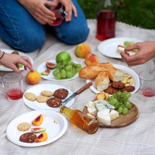 Paper Plates 9 Inch 125 (White / 9Inch（125 PCS）)