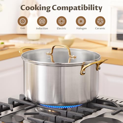 10 QT Stock Pot with Lid