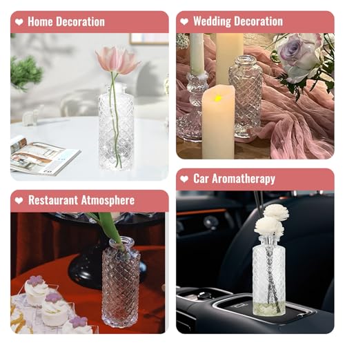 Bud Vase Flower Bottle (White(transparent) / Small Vase(6 Pcs))