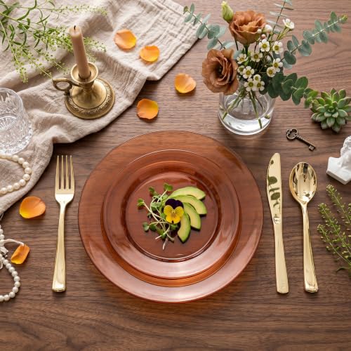102 Pcs Amber Plastic Plates (102 Pieces / Clear Brown)