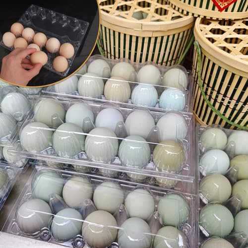 98 Pack Bulk Egg Cartons (98 Pack Egg Cartons 10 Grids)