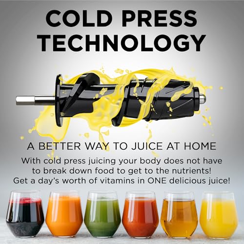 Cold Press Juicer Machine (Black)