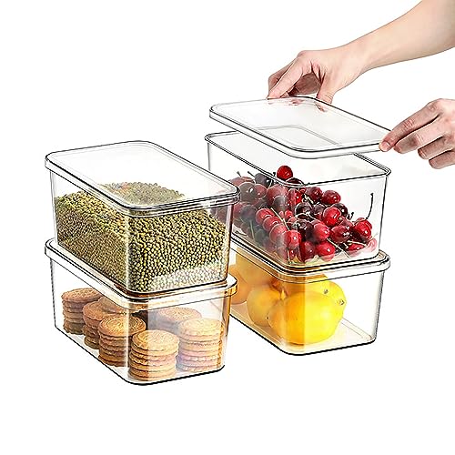 Clear Storage Bins With Lids (4S)