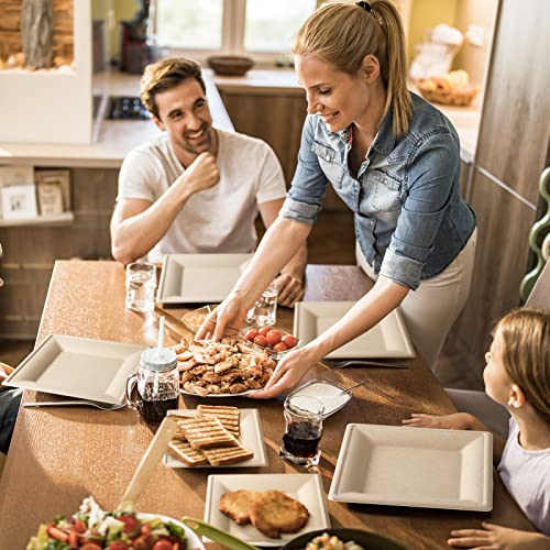 Compostable Square Paper Plates 10 Inch 100 Pack Disposable Plates (Brown / 10-inch 100 pack)