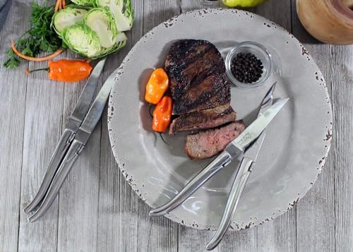 Laguiole Connoisseur Set of 4 Stainless Steel Steak Knives (Stainless Steel)