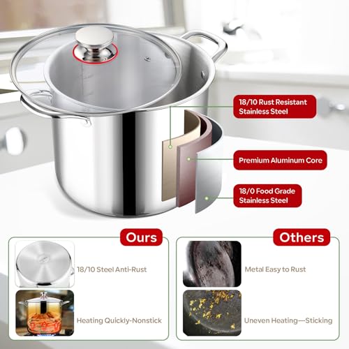 12 QT Stock Pot with Lid (12 Quarts)