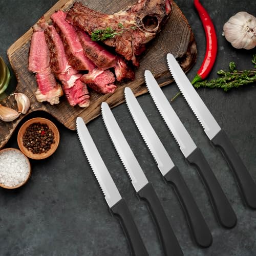 36 PCS Steak Knife Set (36PCS Steak Knife)