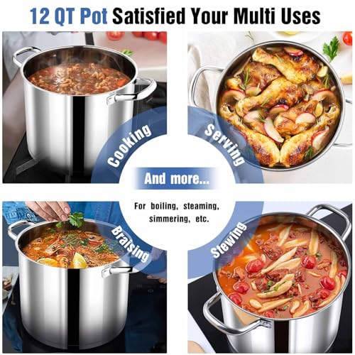 12 QT Stainless Steel Stock Pot with Lid (12 Quarts)