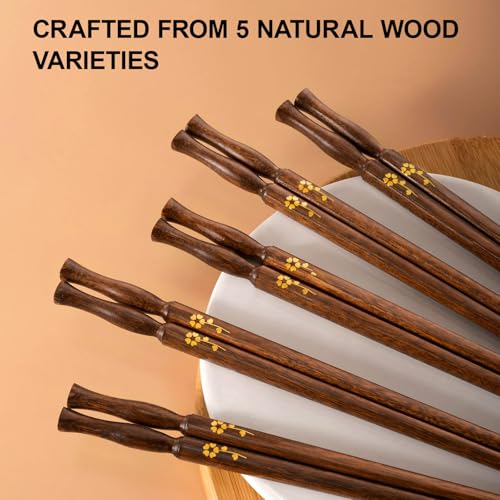 5 Pairs Chopsticks Set