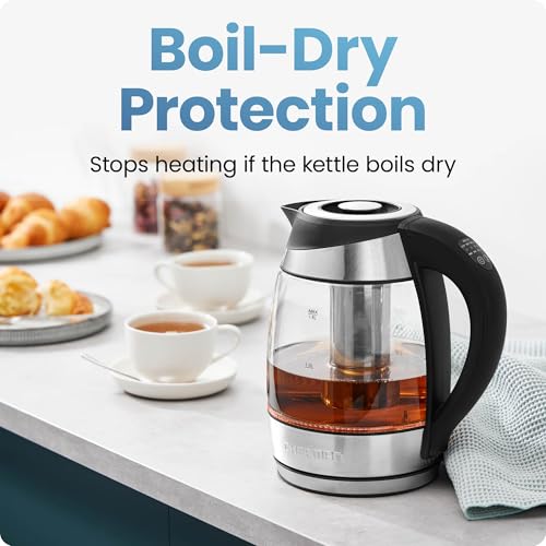 Electric Kettle with Temperature Control (1.8L / Stainless Steel)