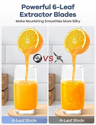 Smoothie Blender (Black)
