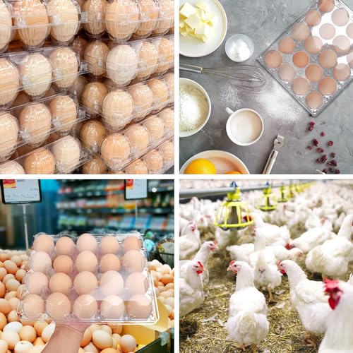 50 Pack Bulk Egg Cartons (20 Grids)