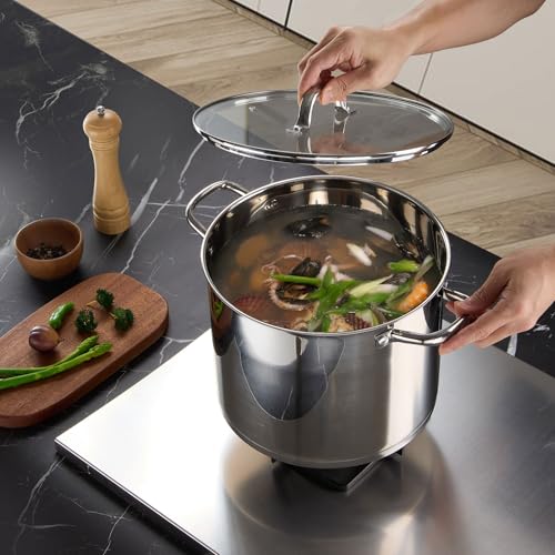 14 QT Stainless Steel Large Stock Pot (14 Quarts)