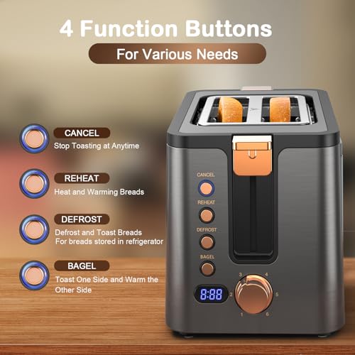Toaster 2 Slice Stainless Steel Body Timer (2 Slot / Grey & Gold)