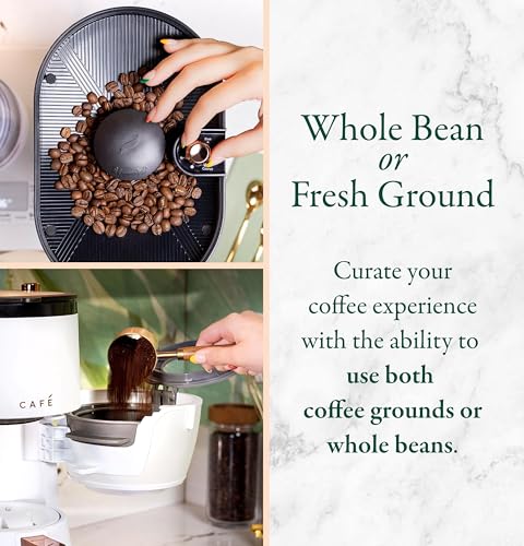 Specialty Grind and Brew Coffee Maker (10-Cup / Stainless Steel)