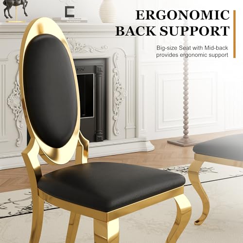 Modern Dining Chairs Set of 2 (Black/Gold / Set of 2)