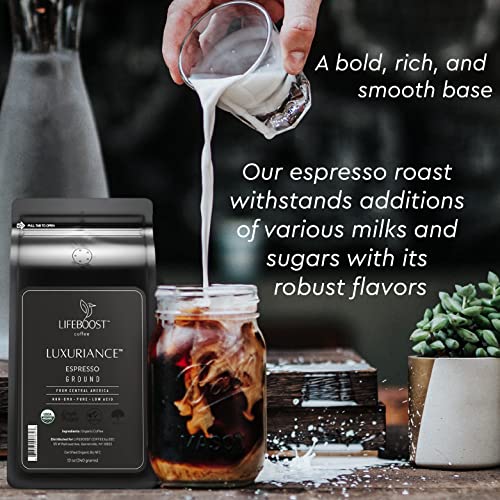 Espresso Ground Coffee (12 Ounce (Pack of 3))