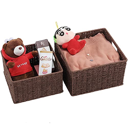 Storage Baskets for Organizing (13 x 13 x 7.5 inches / Dark Brown)