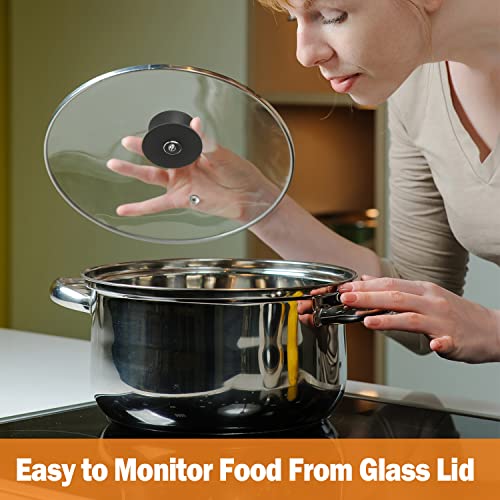 Pan Lid 10 Inch