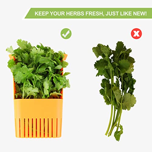 Fresh Herb Keeper for Refrigerator (Herb Keeper - Orange)