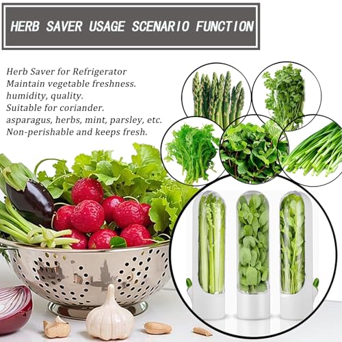 Herb Saver for Refrigerator (1PCS)