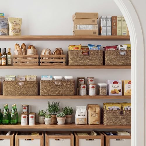 Extra Large Wicker Baskets for Organizing (Brown (Seagrass) / 16½"L x 13"W x 7½"H)