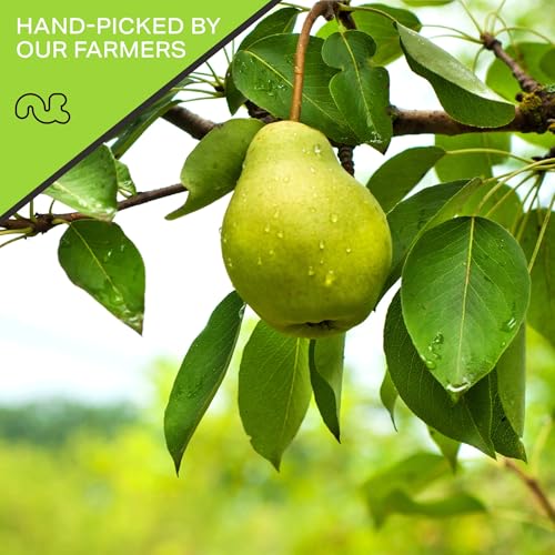 Dried California Pears (Dried Pears / 16 oz)
