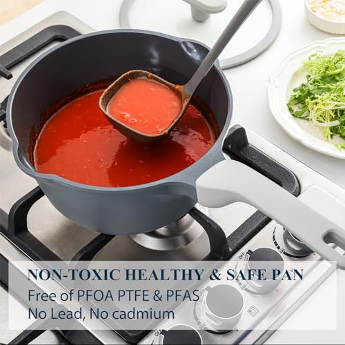 Nonstick Saucepan with Lid (2.7 Quarts / Gray)