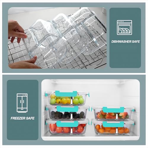Glass Meal Prep Containers 3 Compartments (5 Count)