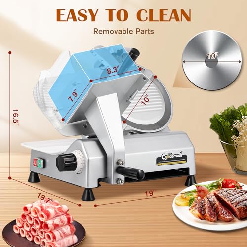 Commercial Meat Slicer Machine (CGO-250B3)