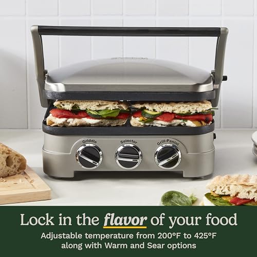 Panini Press and Grill (New Version - Griddler)
