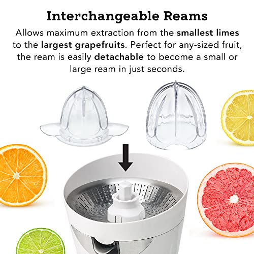 CitriStar CS 1000 Electric Citrus Juicer with Stainless Steel Strainer and Spout