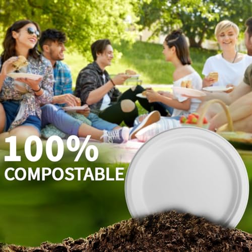 7 Inch Compostable Paper Plates 【White 150 Pack】 (White / 7inch)