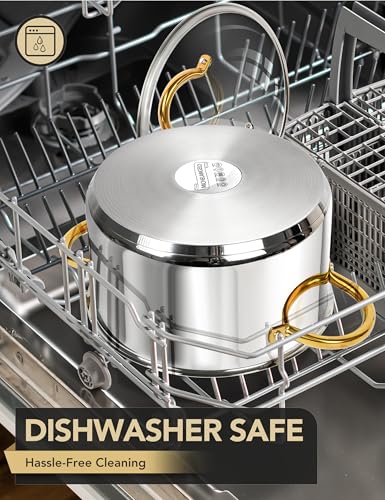 Stainless Steel Pots (6 Quarts)
