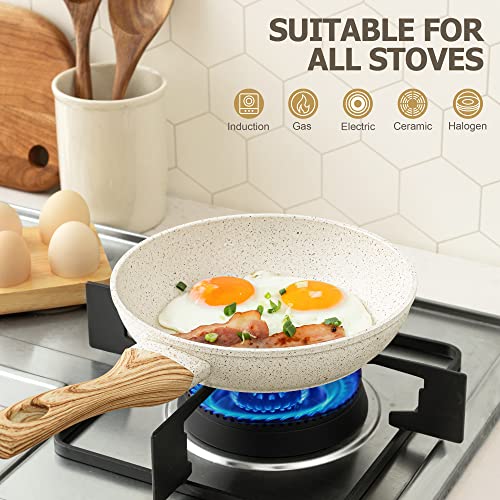 10 Inch Nonstick Frying Pan with Lid (White Granite / 10 Inch)