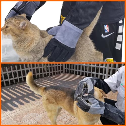 23.6 In Gloves for Animal Handling (Large (Pack of 1) / Black)