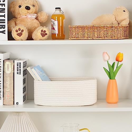 Small Storage Baskets for Organizing (3 Count)
