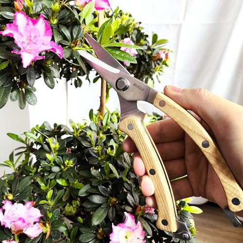 Wood Handle Garden Shears (8"WoodHandleShears(E011))