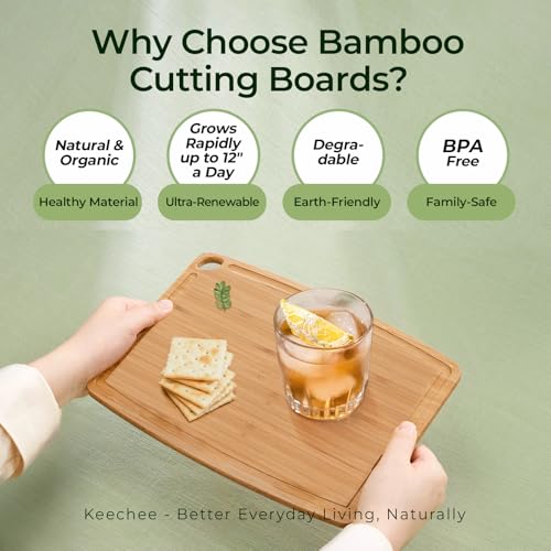 Dishwasher Safe Carbonized Bamboo Wood Cutting Boards for Kitchen with Juice Groove (10.4"L x 8"W)