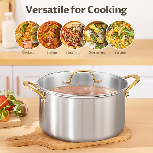 10 QT Stock Pot with Lid