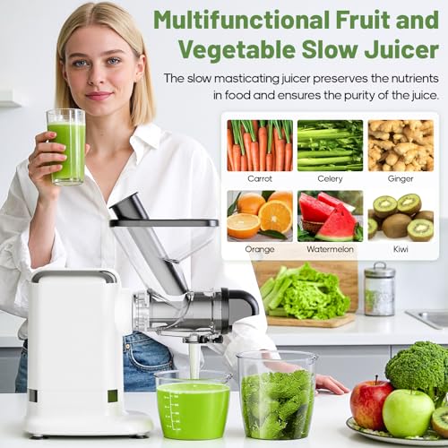 Electric Cold Press Juicer (Black)