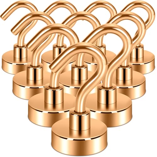 Magnetic Hooks (10 Count)