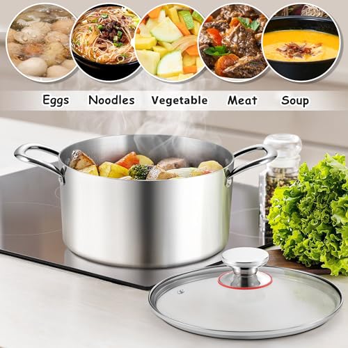 6 Quart Stock Pot