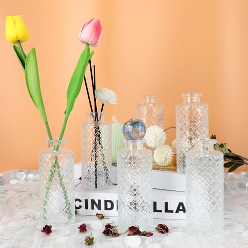 Bud Vase Flower Bottle (White(transparent) / Small Vase(6 Pcs))
